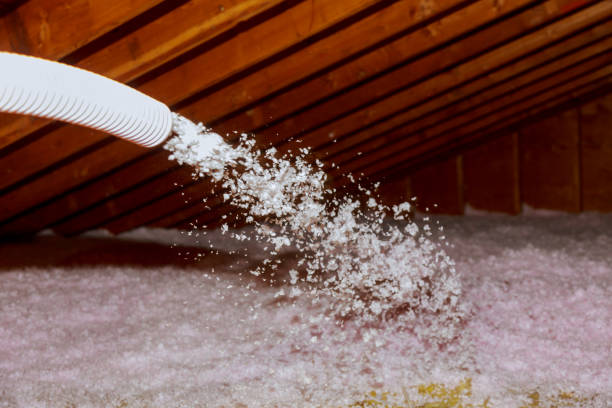 Best Insulation Maintenance and Repair in Tornillo, TX