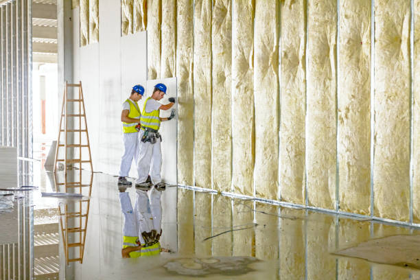 Best DIY Insulation Kits and Guidance in Tornillo, TX